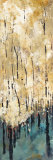 Nature's Abundance I