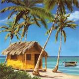Buy A Perfect Day at AllPosters.com