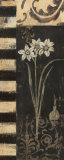 Black and White Paper Whites