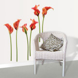 Buy Calla Lilies at AllPosters.com