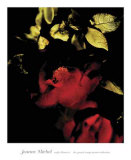 Night Bloom II