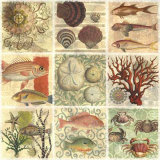 Under The Sea I