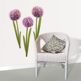 Alliums
