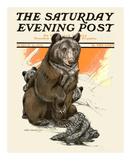 Porcupine Scares the Bears