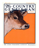 Red Cow, c.1923