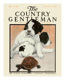 Buy Puppies and the Turtle, c.1916 at AllPosters.com