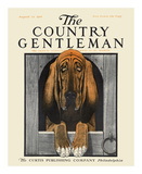 Bloodhound, c.1916