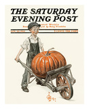 Buy Pumpkin in Wheelbarrow, c.1913 at AllPosters.com