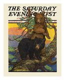 Bears in Tree, c.1930