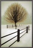 Buy Solitude at AllPosters.com
