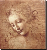 Buy Female Head (La Scapigliata), c.1508 at AllPosters.com
