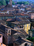 Rooftops and Buildings of Town, Lucca, Italy