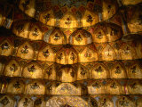 Ceiling of the Dome of the Arg-E Karim Kahani, Shiraz, Fars, Iran