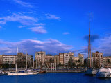 Boats Moored in Harbour with Buildings Behind, Barcelona, Spain