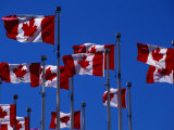 Canadian Flags Flying in the Wind, Vancouver, Canada