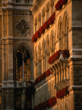 Buy Flower Boxes on the Vienna City Hall Building, Vienna, Austria at AllPosters.com