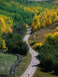 Buy Road Leading Through Autumn Foliage in San Juan Mountains Near Telluride, Telluride, USA at AllPosters.com