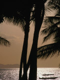 Buy Tropical Island Paradise, Fiji, Pacific at AllPosters.com