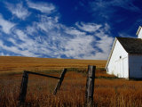 Buy White Barn and Field, USA at AllPosters.com