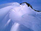 Buy Antarctic Snowscape, Antarctica at AllPosters.com