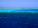 Buy Abu Nuhas (Ships' Graveyard) Dive Site in Red Sea, Egypt at AllPosters.com