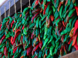 Green and Red Chillies Hanging Out to Dry Santa Fe, New Mexico, USA