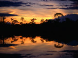 Sunset Over Lagoons of Cuyabeno in the Ecuadorian Amazon Basin, Cuyabeno Fauna Reserve, Ecuador