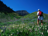 Hiking Mt. Timpanogos in the Wasatch National Forest, Utah, USA