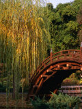 Buy Bridge in Japanese Garden at Huntington Beach, Huntington, USA at AllPosters.com