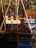Fishing Boats in Padstow Harbour, Padstow, Cornwall, England