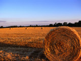 Rolls of Straw in Fields along Highway 26, Georgia, USA