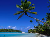Buy Palm Trees on Beach, Cook Islands at AllPosters.com