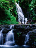 Buy Elebana Falls and Surrounding Vegetation, Lamington National Park, Australia at AllPosters.com