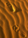 Footprints at Stockton Sand Dunes, Newcastle, New South Wales, Australia