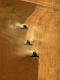 Buy Harvest at Two Buttes, Colorado, USA at AllPosters.com
