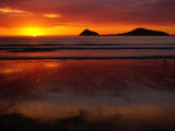 Buy Sunset Over Whiskey Bay, Wilsons Promontory National Park, Australia at AllPosters.com