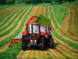 Buy Tractor Collecting Grass from Field to Make Hay, United Kingdom at AllPosters.com