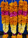 Floral Garland, Tamil Nadu, India