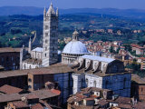 Buy Rooftops and Siena Cathedral Siena, Tuscany, Italy at AllPosters.com