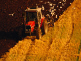 Buy Tractor Driving on Field, York, East Riding of Yorkshire, England at AllPosters.com