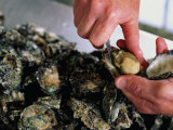 Buy Shucking Oysters, Coffin Bay, Australia at AllPosters.com