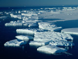 Buy Antarctic Icebergs Surrounded by Pack-Ice, Antarctica at AllPosters.com