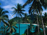 Palm Ringed Cove of Bottle Beach, Thailand