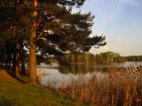 Trees and Lake Outside Aukstadvaris, Trakai, Lithuania