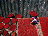 Zhuang Girl Drying Red Peppers on the Roof of Her House, Long Ji, China