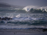 Winter Waves and Shorebirds in Ballyhiernan Bay, Fanad Head, Ireland