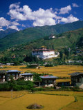 Buy Farm Fields and Buildings, Thimphu, Bhutan at AllPosters.com