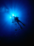 Diver in Persian Gulf, United Arab Emirates