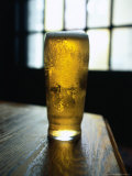 Pint in Windsor Castle Pub, Camden Hill Road, London, United Kingdom