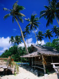 Buy Thatched Hut on Beach, Yap Island, Yap State, Micronesia at AllPosters.com